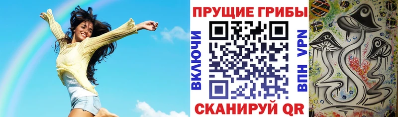 Псилоцибиновые грибы Cubensis  кракен   Арамиль 